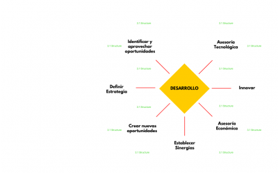 Desarrollo de Negocio