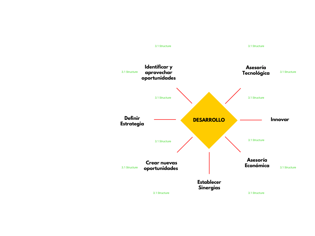 Asesoría de Negocios (4)