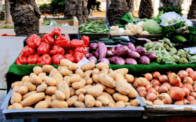 Gastos que NO cubre la Ayuda